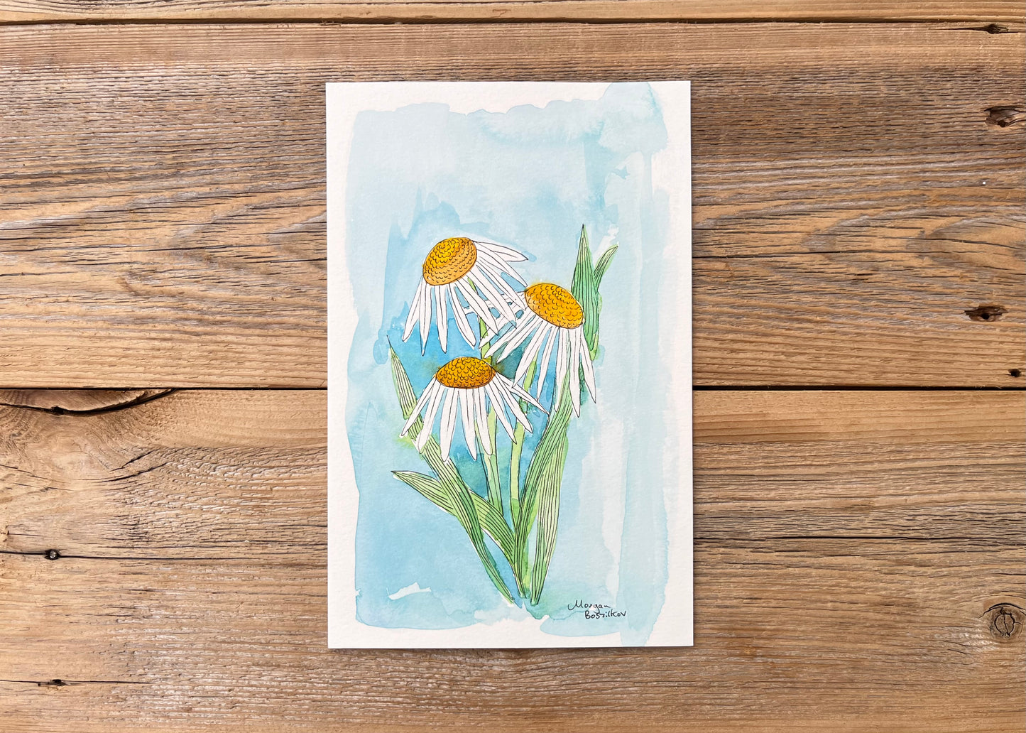 Three Daisies